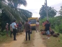 Sengketa Lahan di Desa Torganda Memanas, Kelompok Tani Tiur Ganda Klaim Pihak yang Sah Ajukan Kemitraan ke PT Torganda