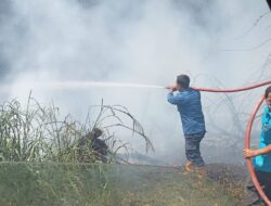 Diduga Akibat Puntung Rokok, Satu Hektar Hutan Lindung di Torgamba Dilalap Api