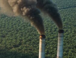 MIRIS! 24 Pabrik Kelapa Sawit Kepung Labusel dengan Asap, Pemda Akui Belum Punya Alat Ukur Polusi