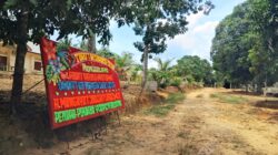 Anak Karyawan Tewas Tersambar Egrek Saat Bantu Ayah di Kebun, Pengawasan Perusahaan Dipertanyakan